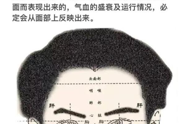 看头发面相知道运势 面相头发算命
