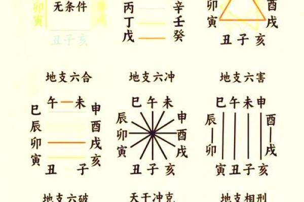 八字新手入门：三会局是什么？