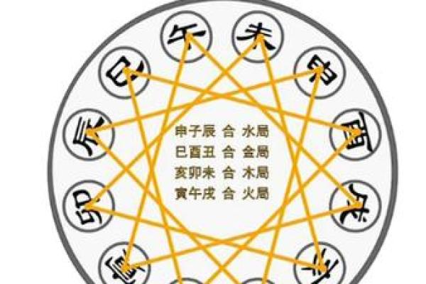 八字新手入门：三会局是什么？