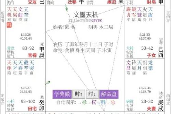 紫微斗数火太多 紫微斗数火贪？