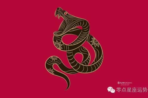 团队名称测试吉凶