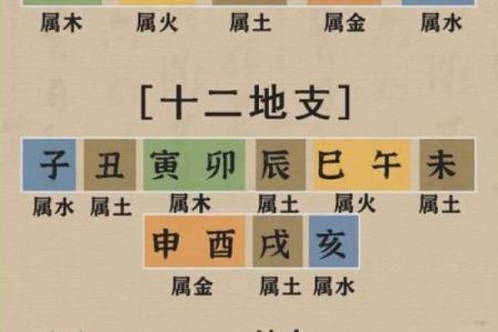 八字天干的根