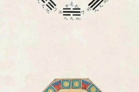 紫薇斗数实验