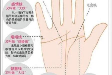 看手相算命图解：掌线