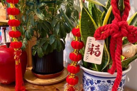 家里客厅挂灯笼的禁忌有哪些风水观点