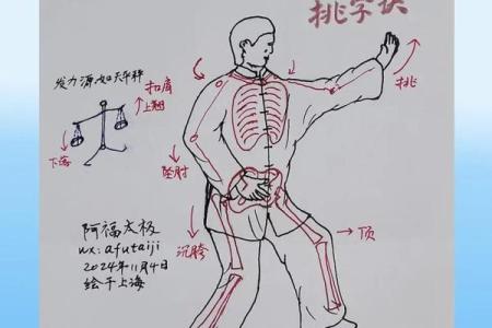 如何练八字马