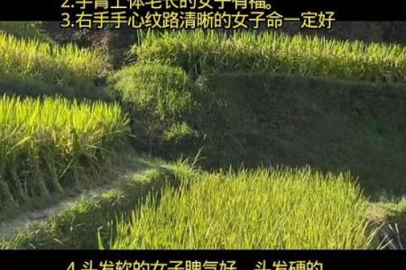 算命说后半世会怎样