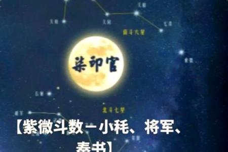 紫微斗数诸星落命宫之：大耗详解