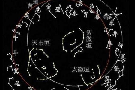怕老婆的紫薇斗数