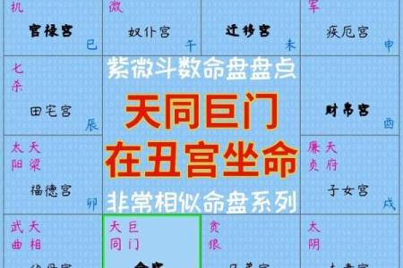紫微斗数诸星落诸宫之：巨门星田宅宫详解
