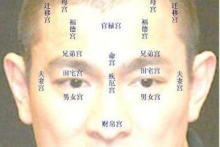 看头发面相知道运势 面相头发算命