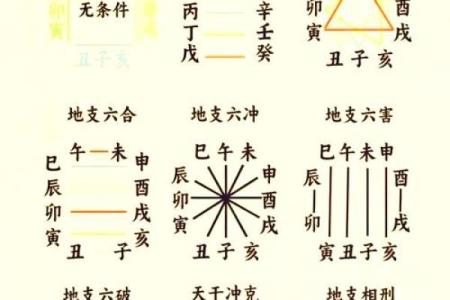 八字新手入门：三会局是什么？