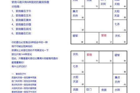 老紫薇斗数