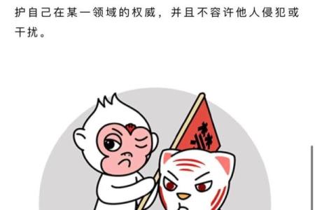 灵机紫薇斗数大师