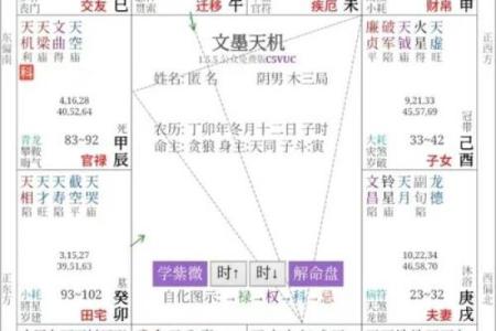 紫微斗数火太多 紫微斗数火贪？