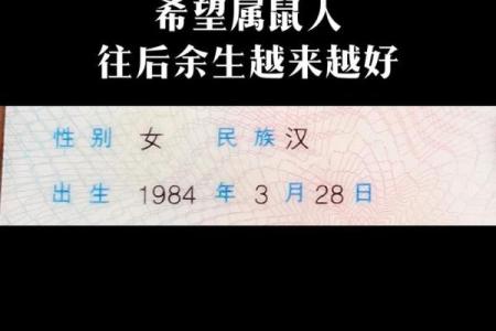 婚姻算命,1984年女鼠一生婚姻状况