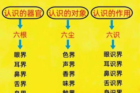 习八字真经