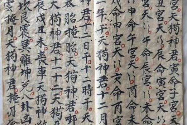 算命先生算狗在哪看