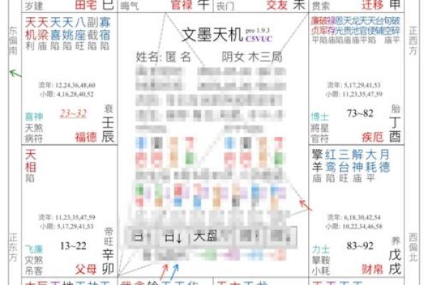 紫薇斗数太阳入命宫