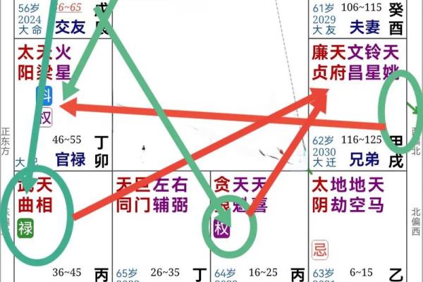 唐艺尹老师：紫薇斗数主星解释