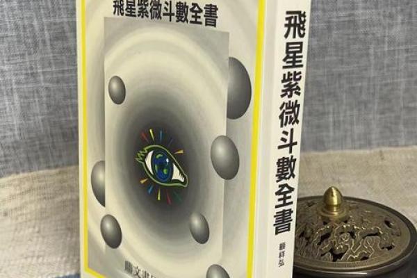 紫薇斗数入门更好的书