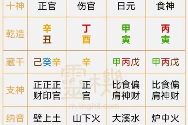 乙卯日柱出生男女八字命运