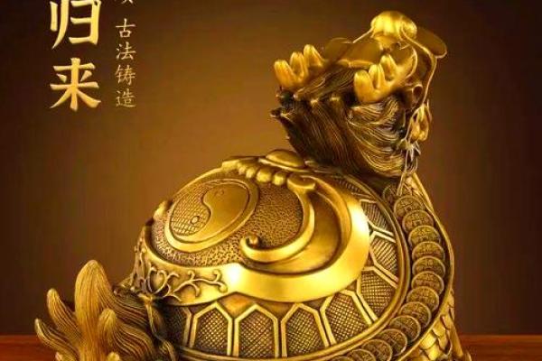 家中风水龙龟的摆放方法及禁忌