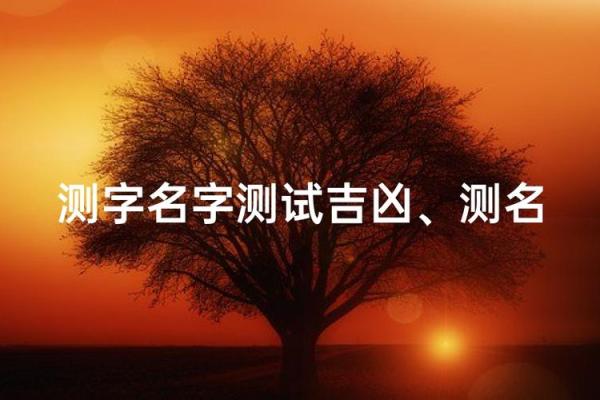 测名字免费测试,品牌测字取名字
