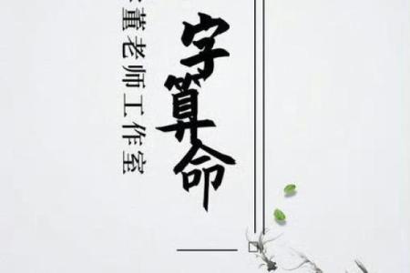 算命网免费算命考大学