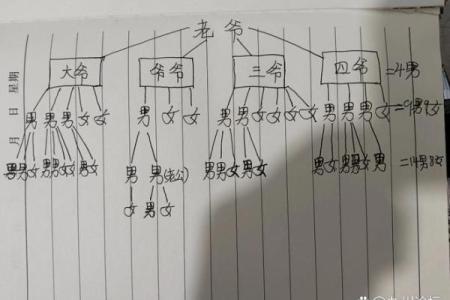 八字如何解读家族家庭关系？