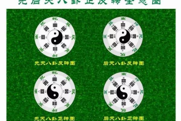 阴阳八卦算命,阴阳八卦看命