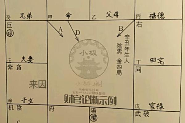 紫薇斗数原理
