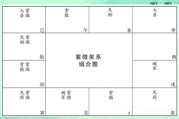 紫薇斗数排版