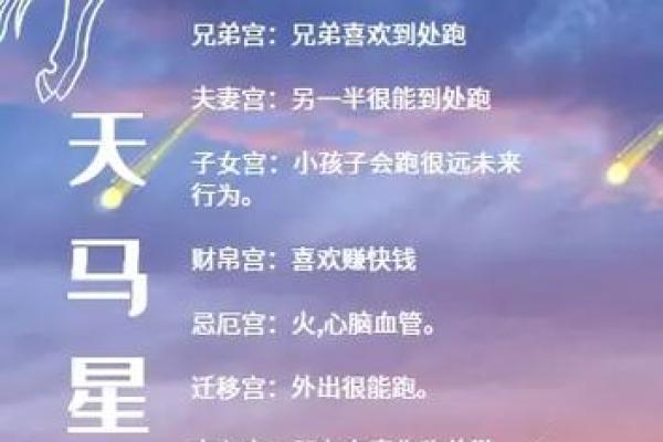 紫薇斗数天马一生机会