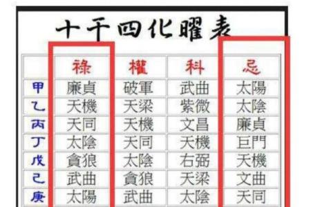 紫薇斗数权是什么意思