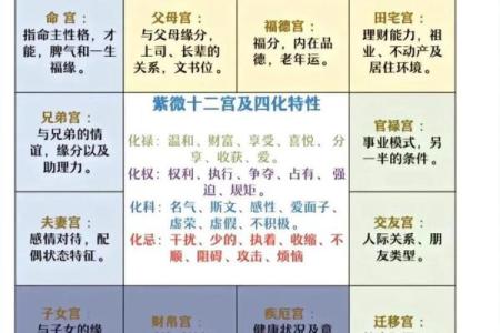 紫薇斗数对宫怎么看