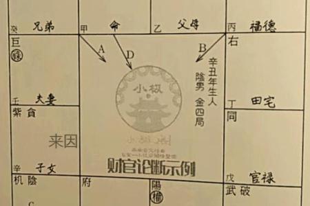 紫薇斗数原理
