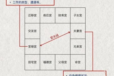 紫薇斗数意思