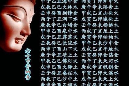 传承国学文化，算命入门，六十甲子纳音