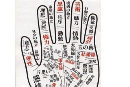 风水川字掌手相男人的命运解析