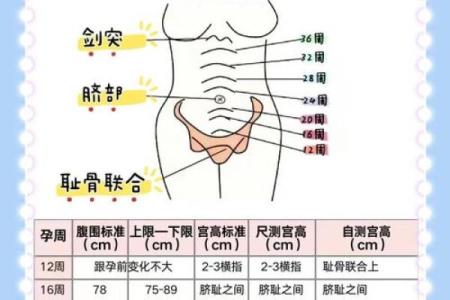 身体上的胎记位置不同算命分析