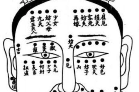 眼相算命图解大全