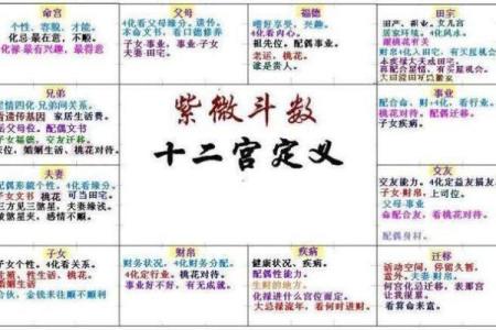 高兴紫薇斗数