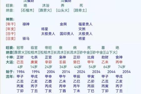 八字中的坐