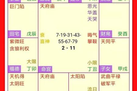 灵动紫薇斗数算命