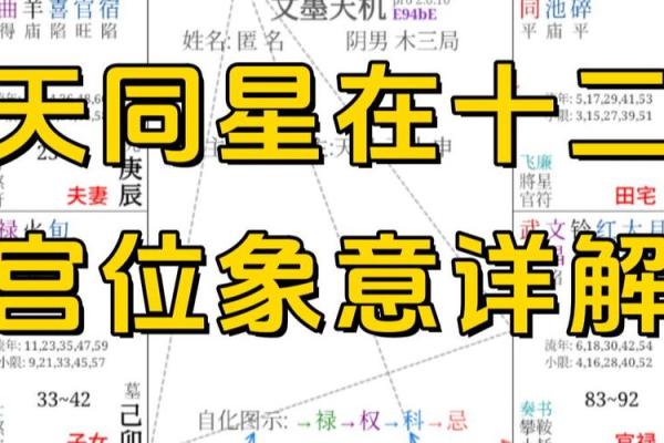 紫薇斗数象意