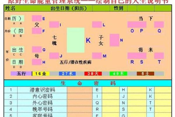 紫薇斗数生命密码