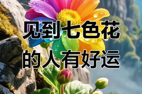 风水解读7种象征吉祥好运的花有哪些