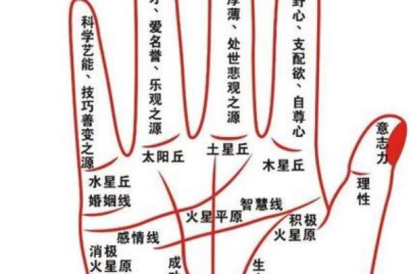 凯帝阿手相算命图解大全01