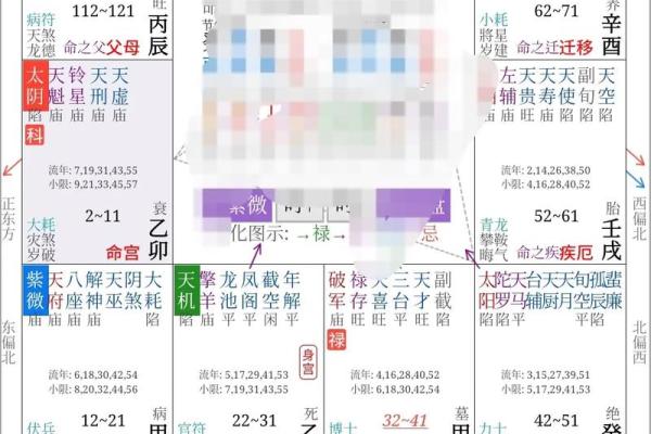手机紫薇斗数app